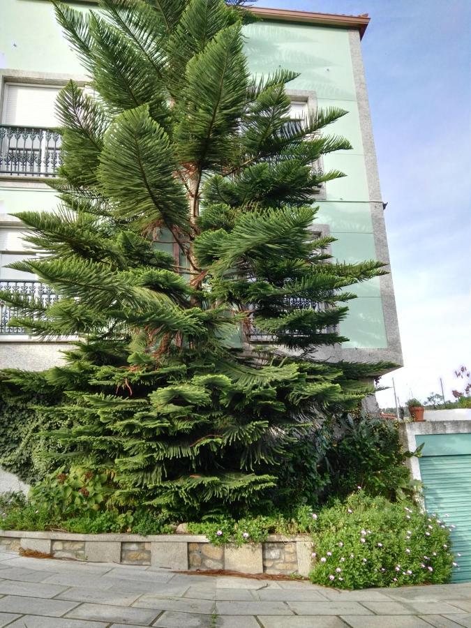 Pisos Vistalegre 2B Con Jardin Cerca Del Mar Apartment Sanxenxo Exterior photo